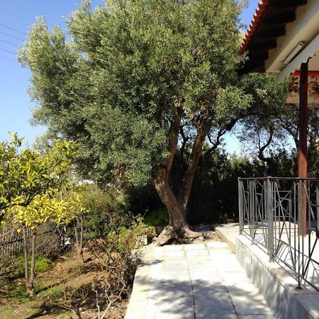 Gerakina Beach Cottage Pszakúdia Kültér fotó