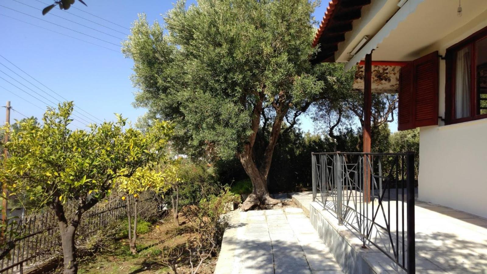 Gerakina Beach Cottage Pszakúdia Kültér fotó