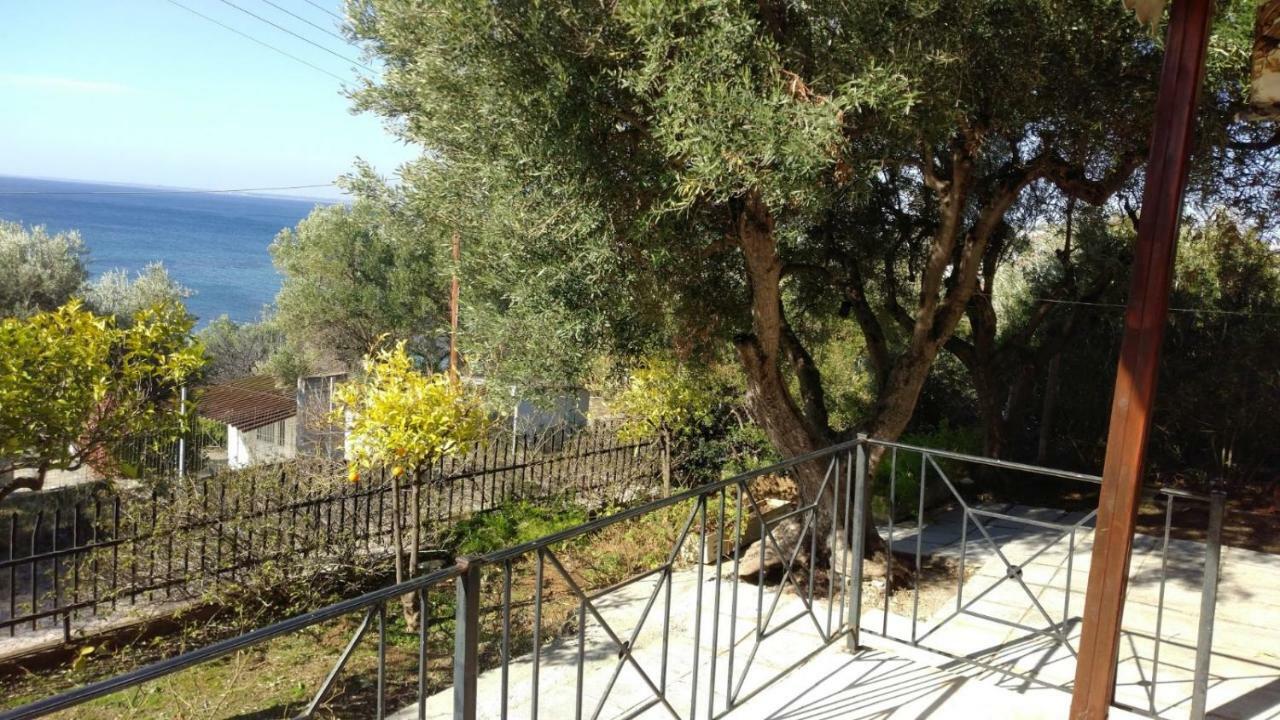 Gerakina Beach Cottage Pszakúdia Kültér fotó