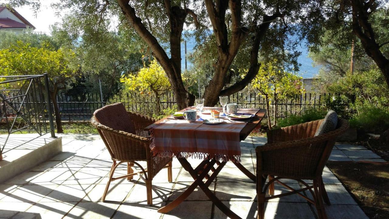 Gerakina Beach Cottage Pszakúdia Kültér fotó
